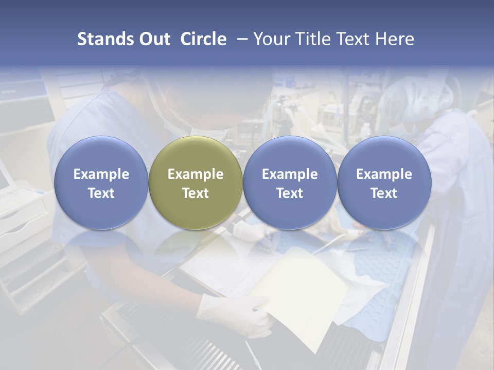 A Woman In A Hospital Operating On A Dog PowerPoint Template