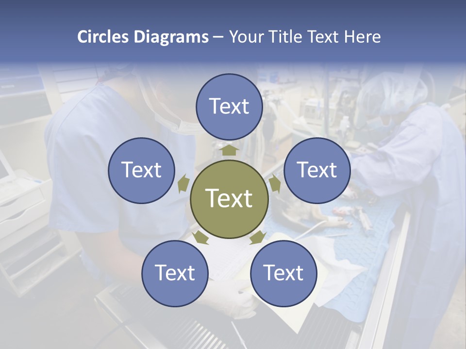 A Woman In A Hospital Operating On A Dog PowerPoint Template