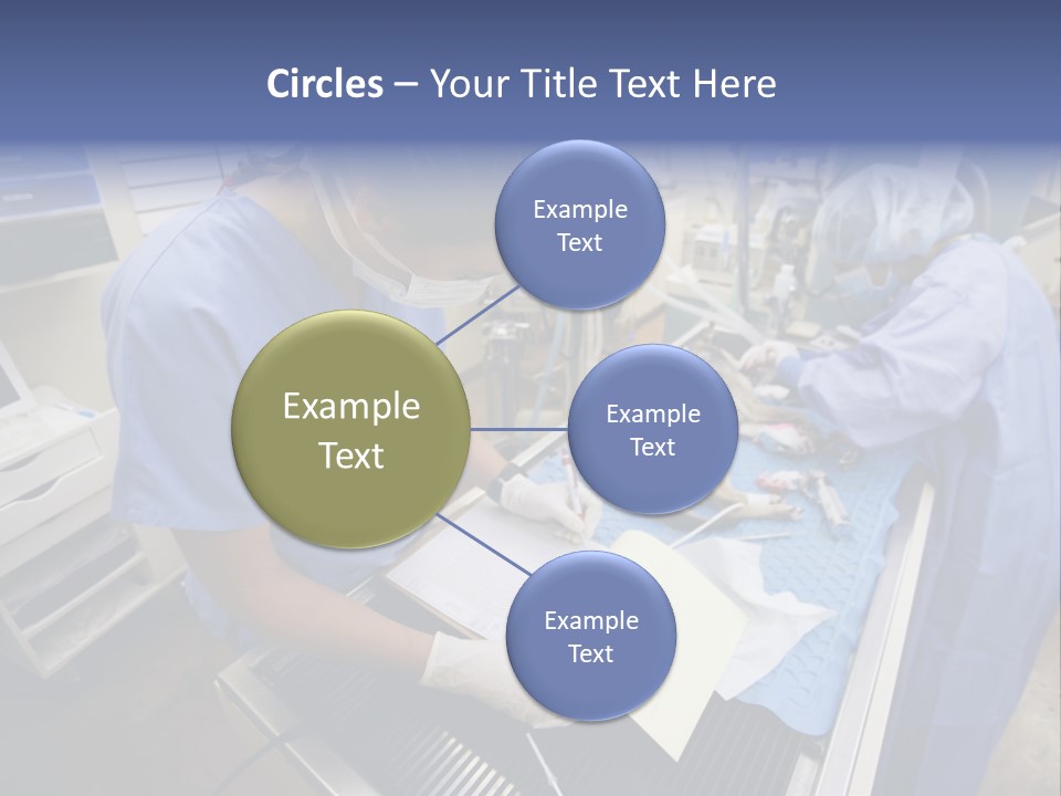 A Woman In A Hospital Operating On A Dog PowerPoint Template