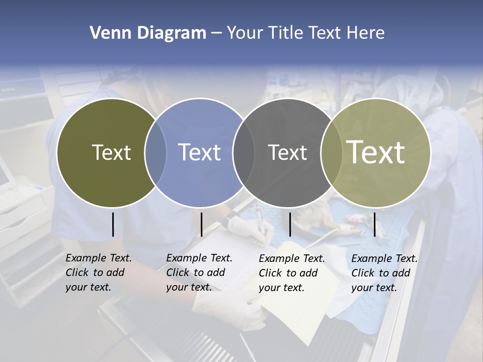 A Woman In A Hospital Operating On A Dog PowerPoint Template