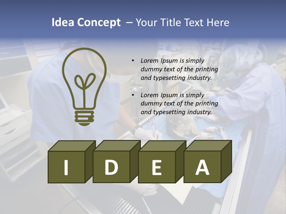 A Woman In A Hospital Operating On A Dog PowerPoint Template