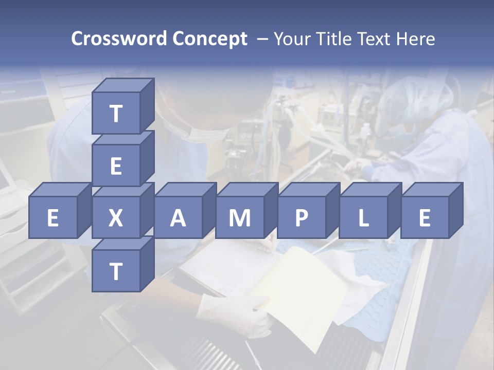 A Woman In A Hospital Operating On A Dog PowerPoint Template