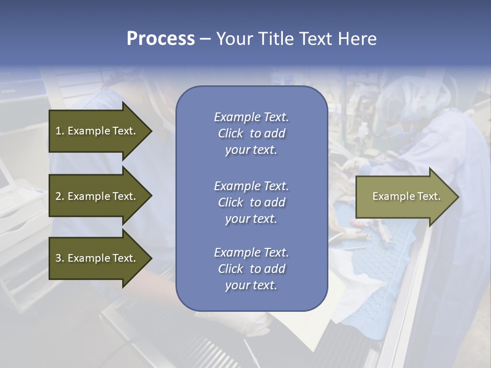 A Woman In A Hospital Operating On A Dog PowerPoint Template