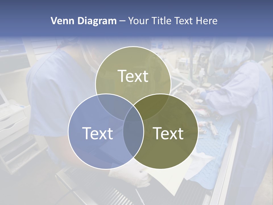 A Woman In A Hospital Operating On A Dog PowerPoint Template