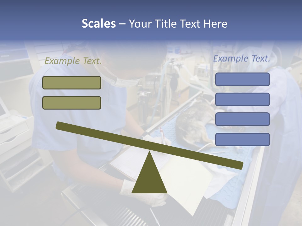 A Woman In A Hospital Operating On A Dog PowerPoint Template