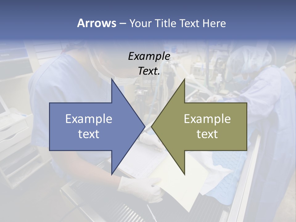 A Woman In A Hospital Operating On A Dog PowerPoint Template