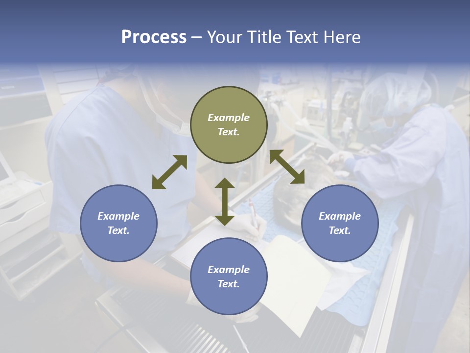 A Woman In A Hospital Operating On A Dog PowerPoint Template