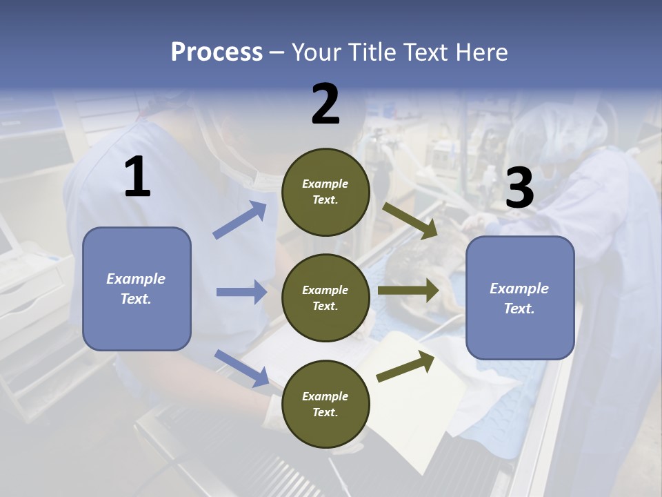 A Woman In A Hospital Operating On A Dog PowerPoint Template