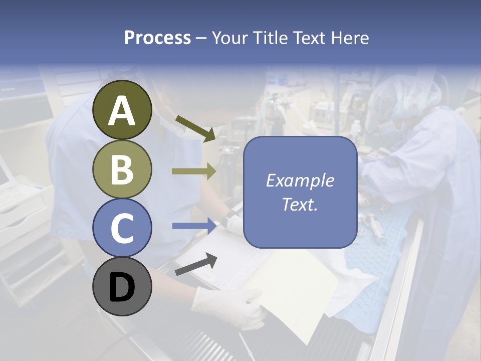 A Woman In A Hospital Operating On A Dog PowerPoint Template