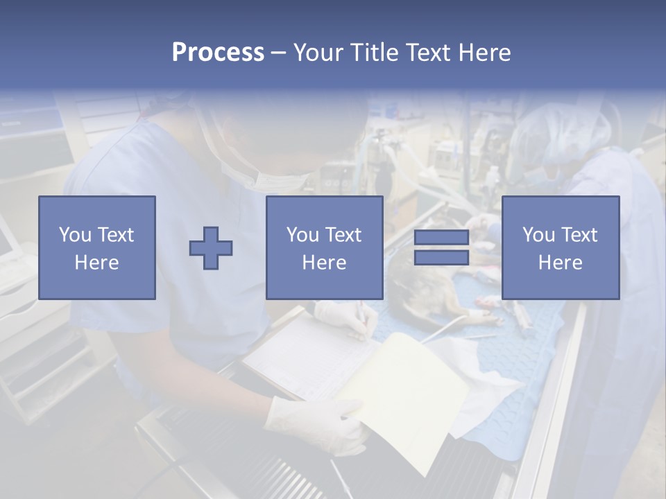 A Woman In A Hospital Operating On A Dog PowerPoint Template
