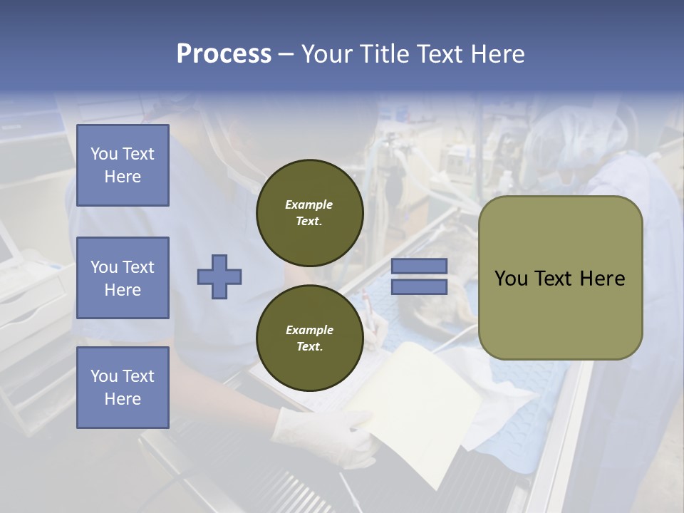 A Woman In A Hospital Operating On A Dog PowerPoint Template