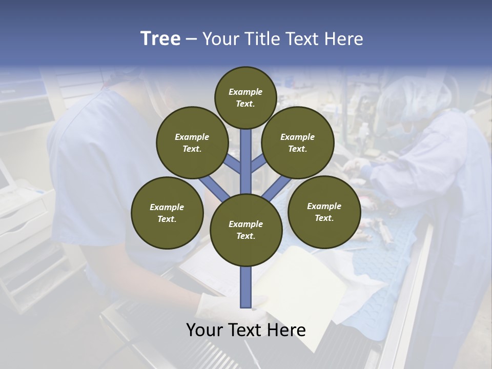 A Woman In A Hospital Operating On A Dog PowerPoint Template