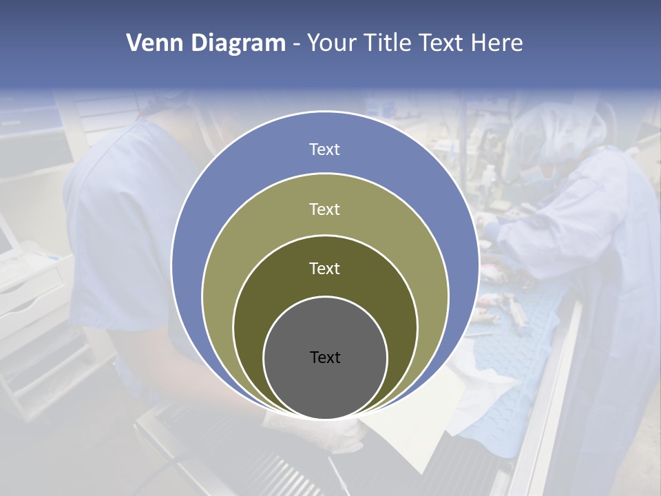 A Woman In A Hospital Operating On A Dog PowerPoint Template