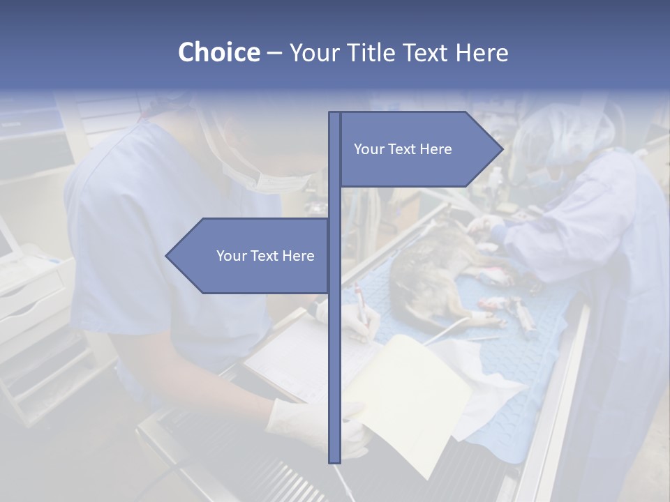 A Woman In A Hospital Operating On A Dog PowerPoint Template