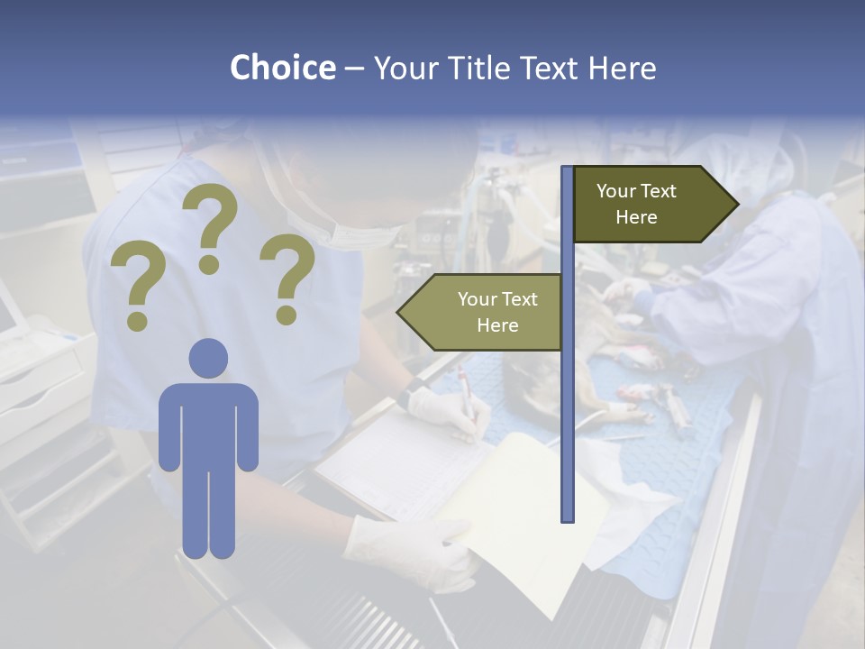 A Woman In A Hospital Operating On A Dog PowerPoint Template
