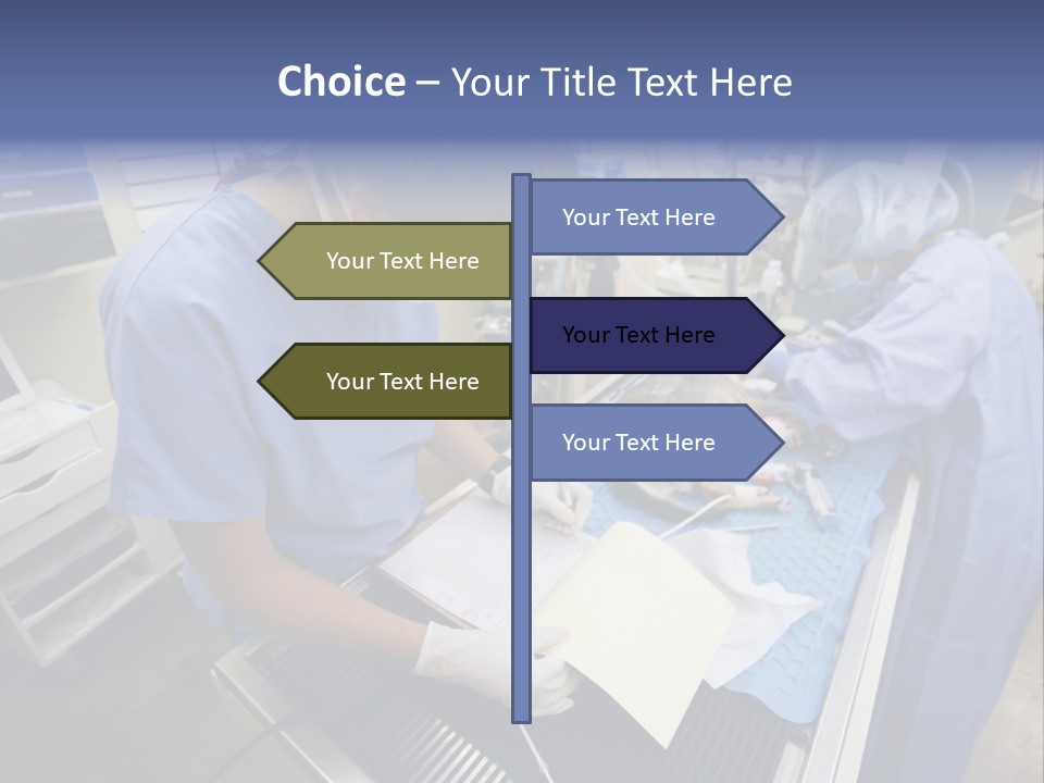 A Woman In A Hospital Operating On A Dog PowerPoint Template