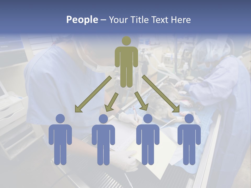 A Woman In A Hospital Operating On A Dog PowerPoint Template