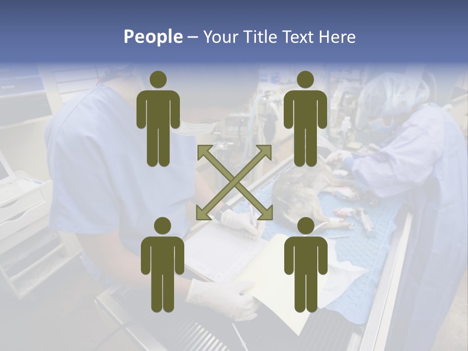 A Woman In A Hospital Operating On A Dog PowerPoint Template