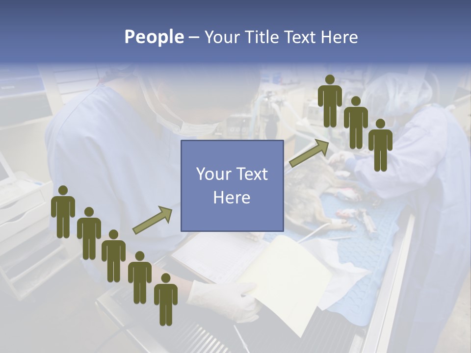 A Woman In A Hospital Operating On A Dog PowerPoint Template