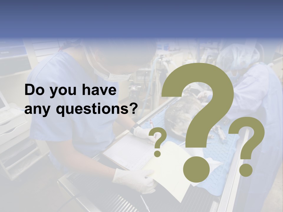 A Woman In A Hospital Operating On A Dog PowerPoint Template