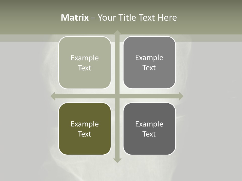 X-Ray Picture Of The Knee PowerPoint Template