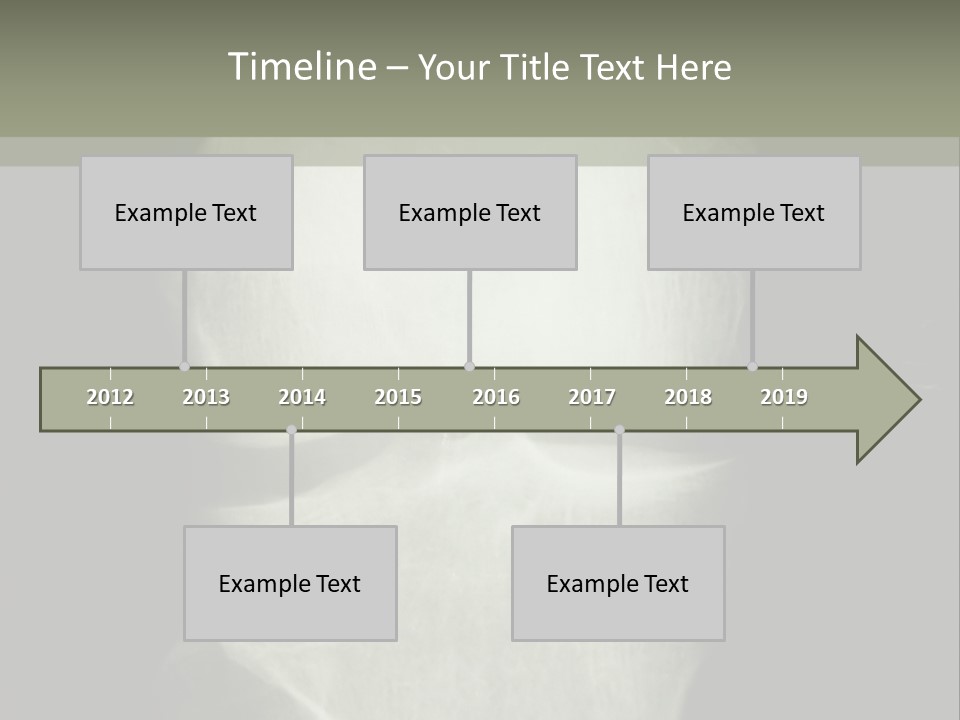 X-Ray Picture Of The Knee PowerPoint Template
