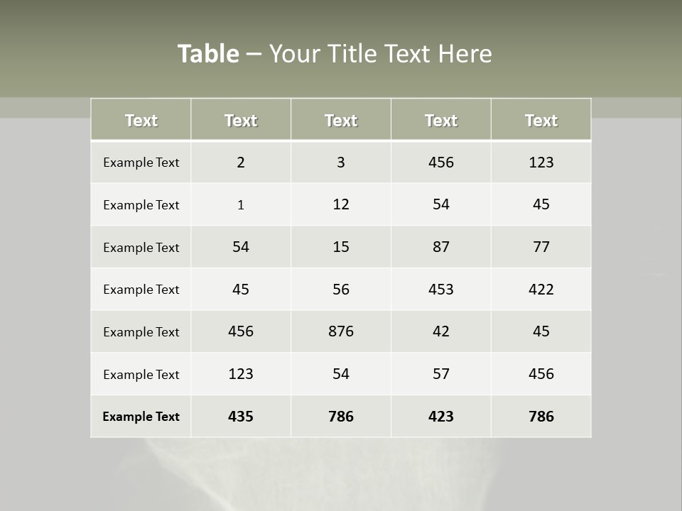 X-Ray Picture Of The Knee PowerPoint Template