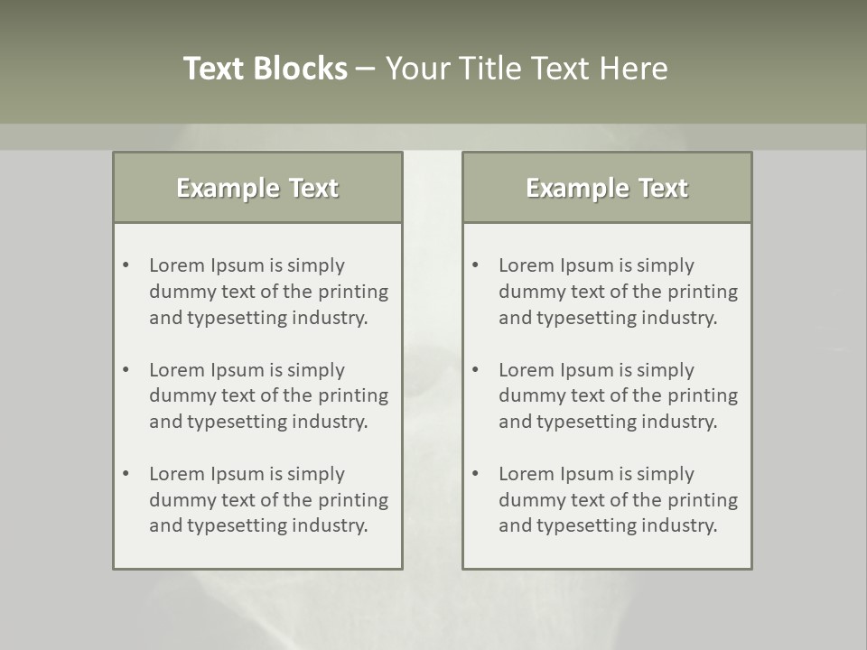 X-Ray Picture Of The Knee PowerPoint Template