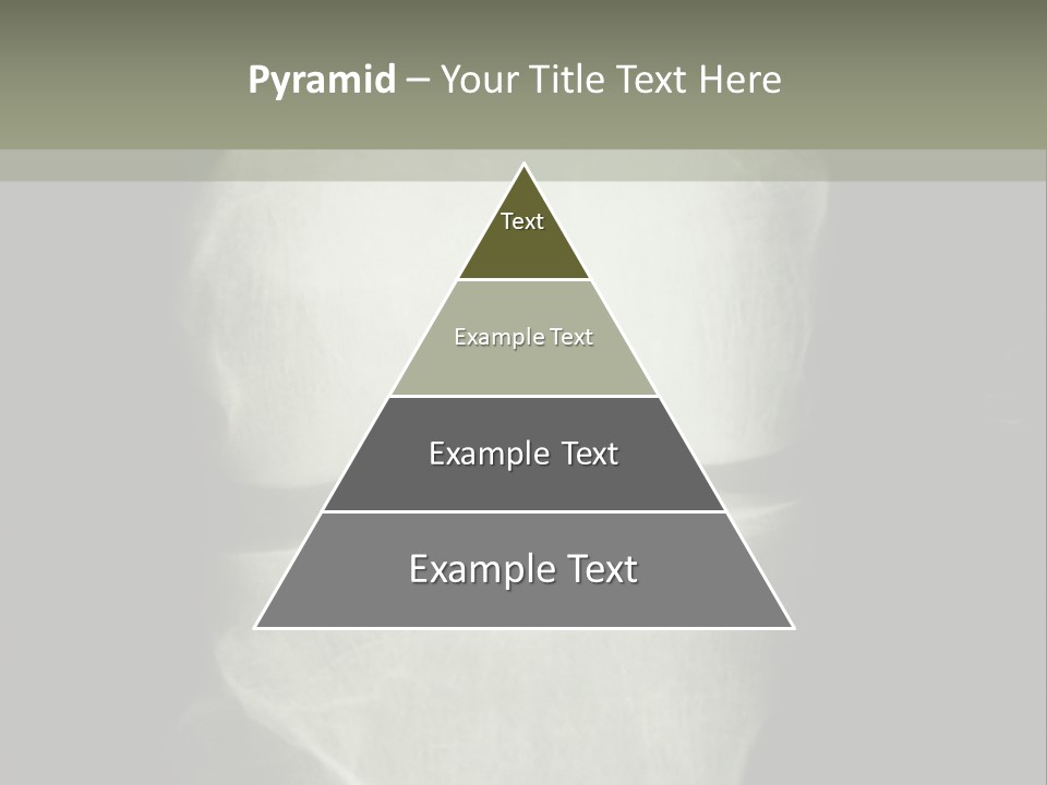 X-Ray Picture Of The Knee PowerPoint Template
