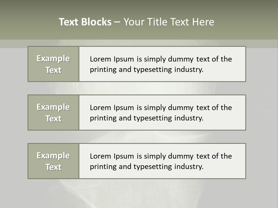X-Ray Picture Of The Knee PowerPoint Template