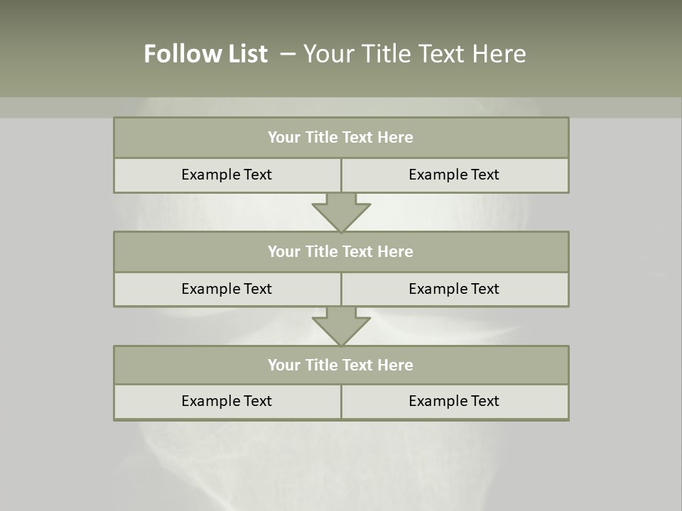 X-Ray Picture Of The Knee PowerPoint Template