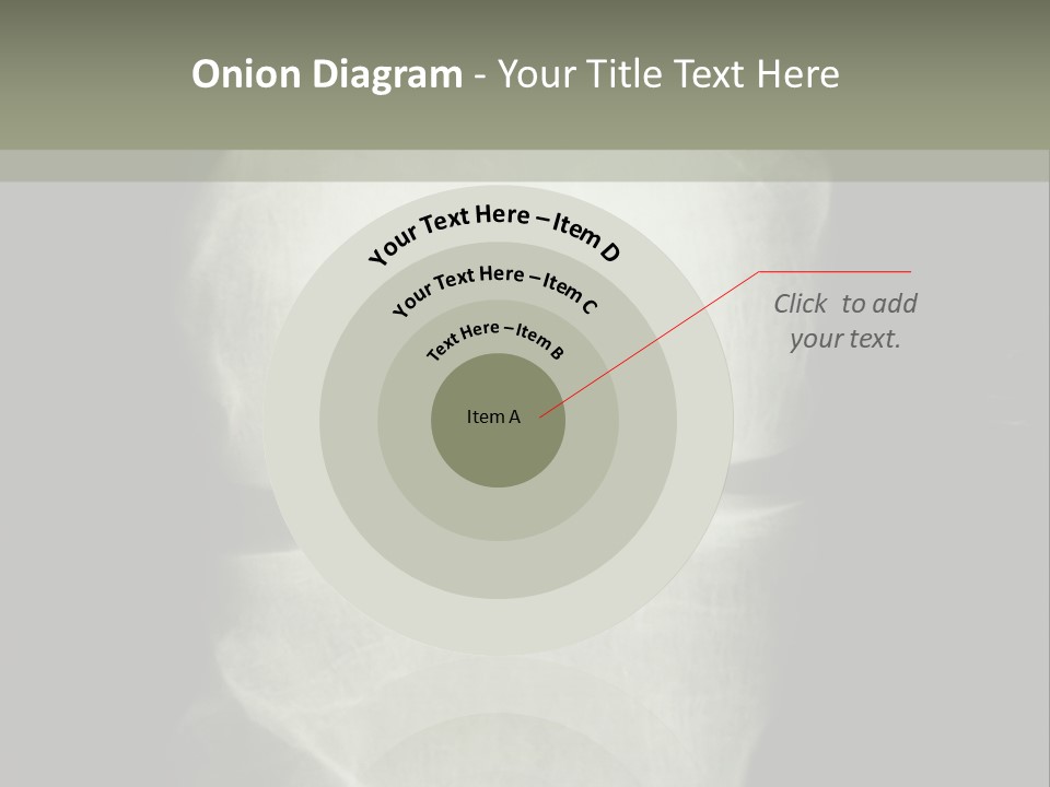 X-Ray Picture Of The Knee PowerPoint Template