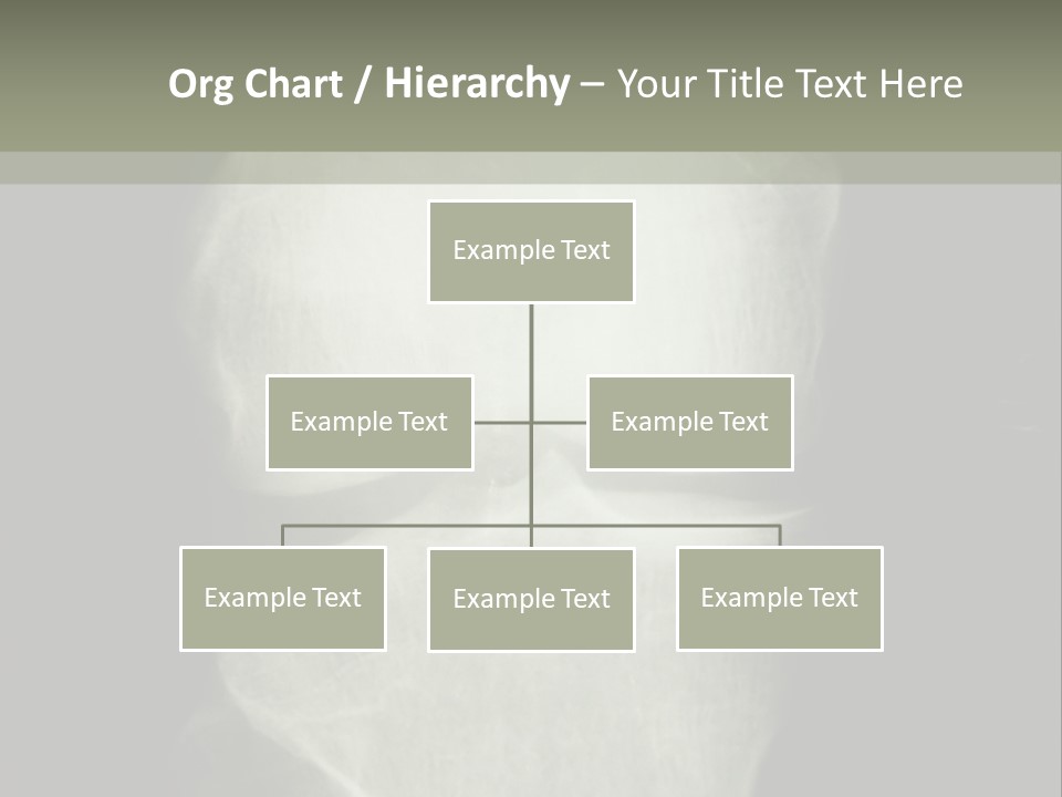 X-Ray Picture Of The Knee PowerPoint Template