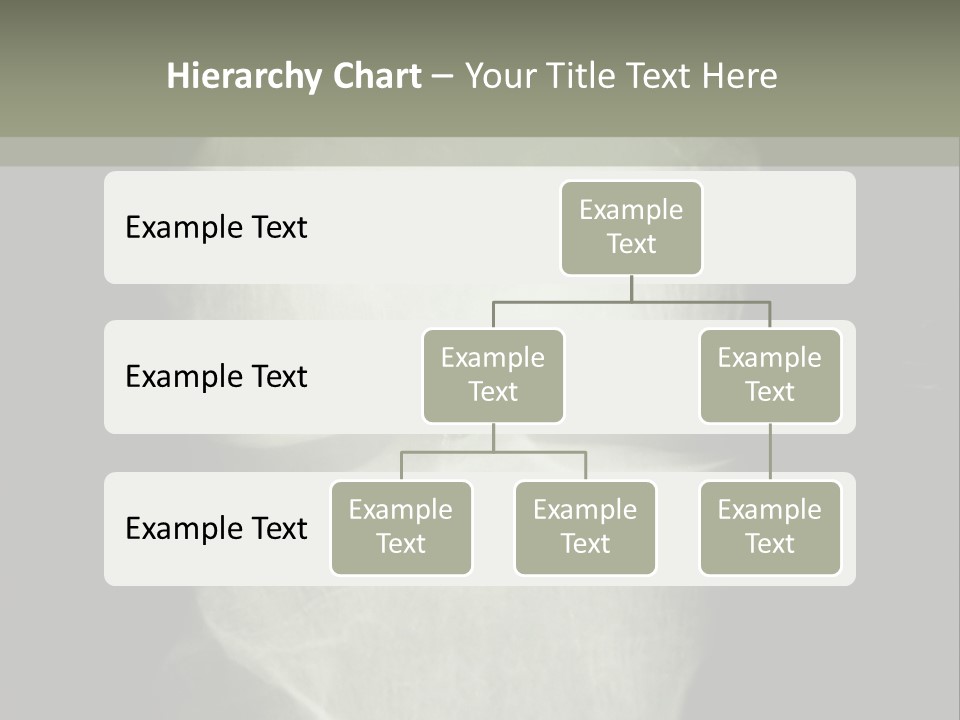 X-Ray Picture Of The Knee PowerPoint Template