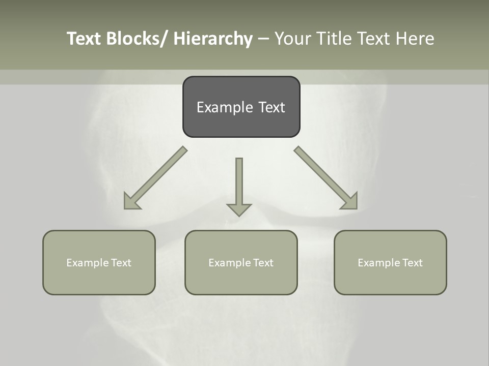 X-Ray Picture Of The Knee PowerPoint Template