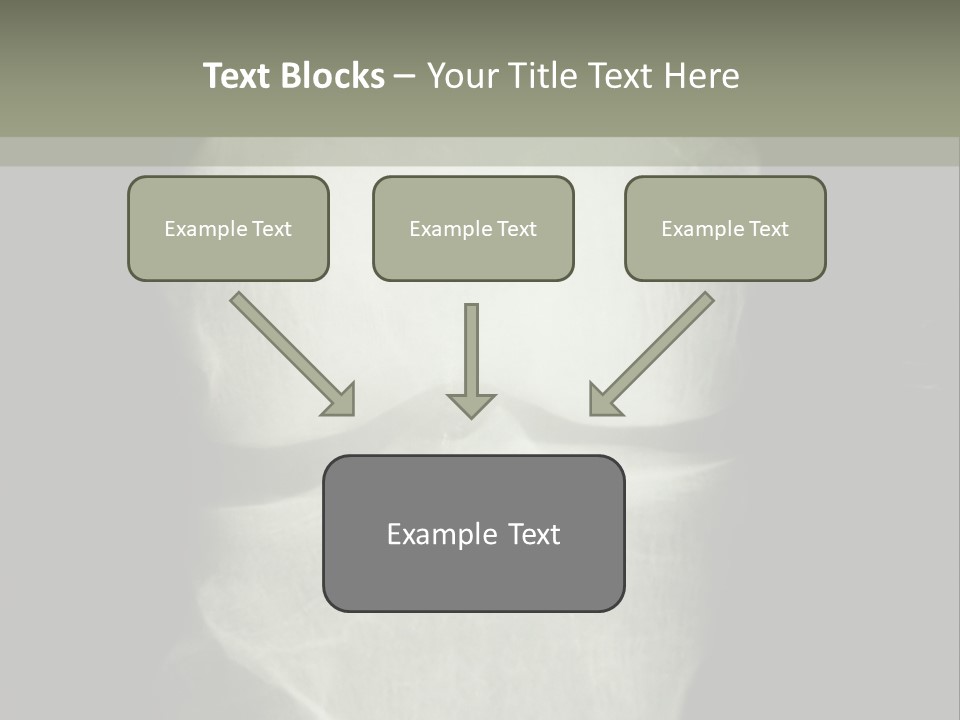 X-Ray Picture Of The Knee PowerPoint Template
