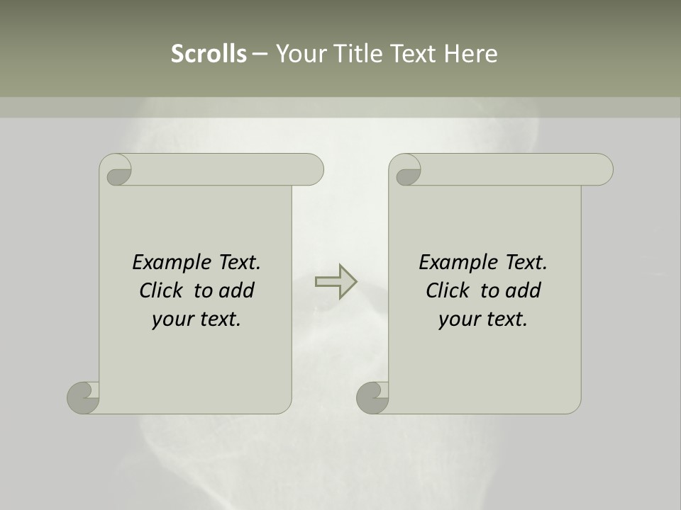 X-Ray Picture Of The Knee PowerPoint Template