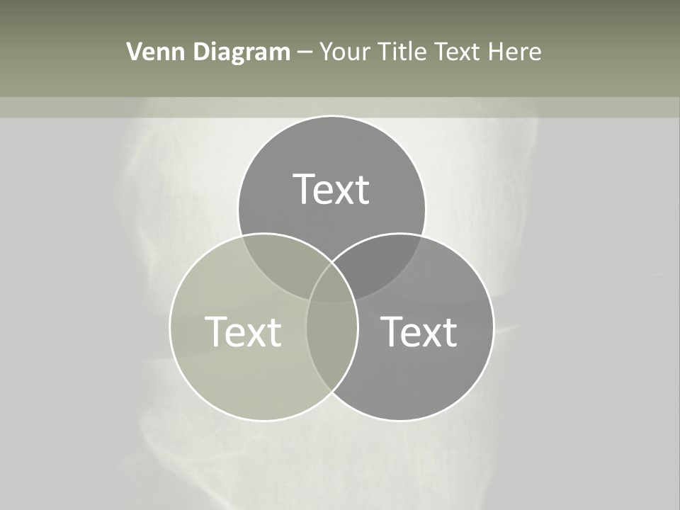 X-Ray Picture Of The Knee PowerPoint Template