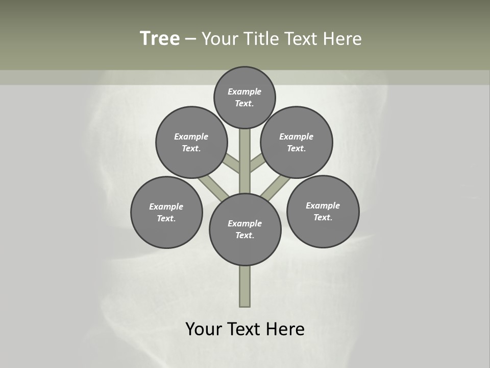 X-Ray Picture Of The Knee PowerPoint Template