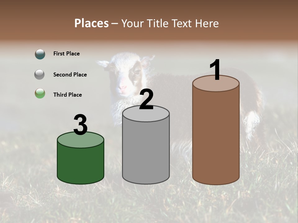 Cute Lamb PowerPoint Template