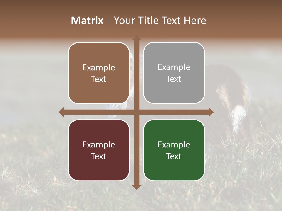 Cute Lamb PowerPoint Template