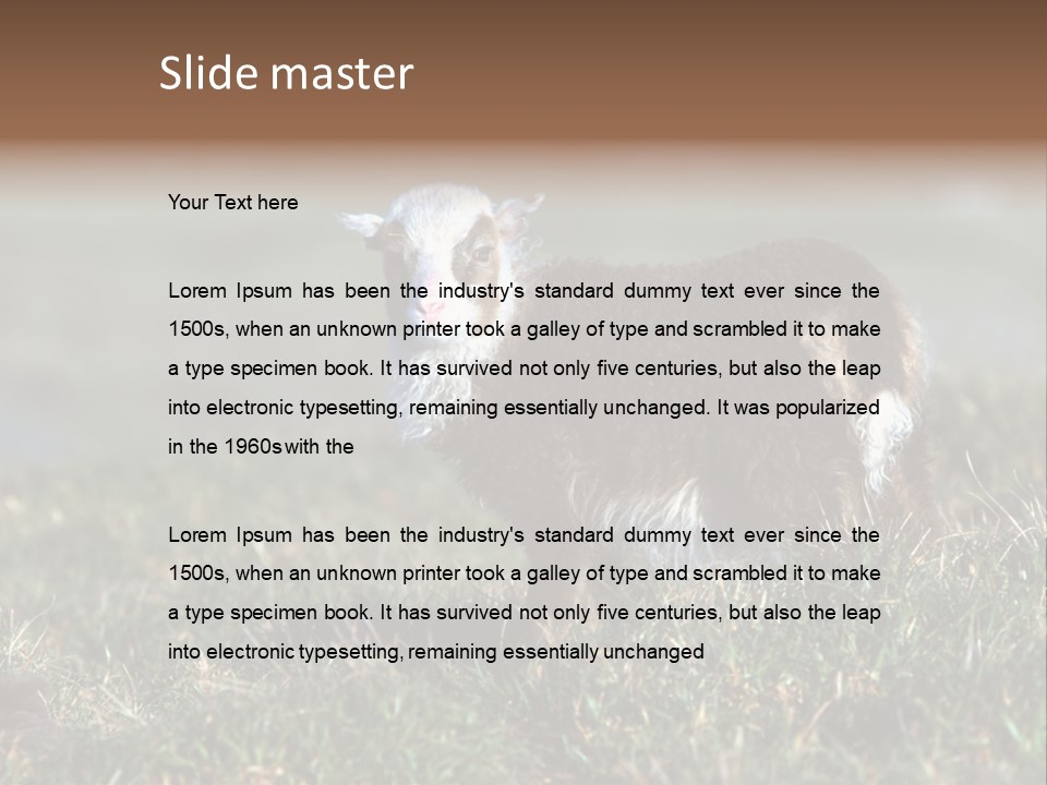 Cute Lamb PowerPoint Template