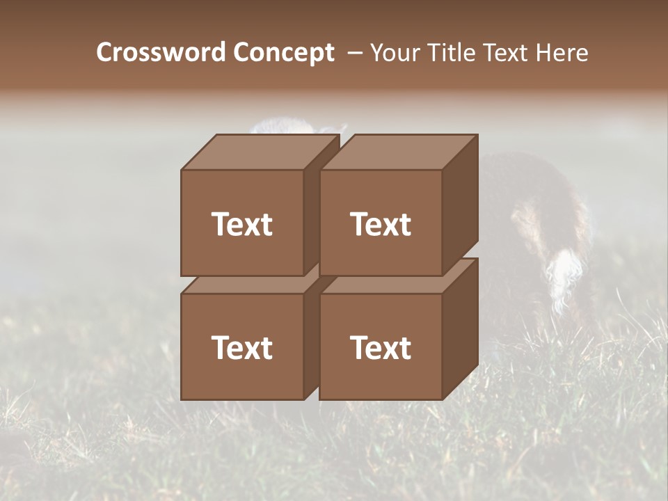 Cute Lamb PowerPoint Template