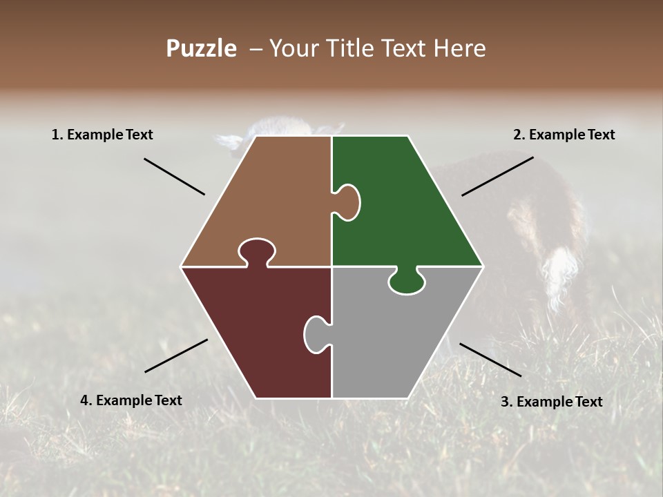 Cute Lamb PowerPoint Template