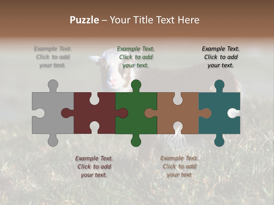 Cute Lamb PowerPoint Template