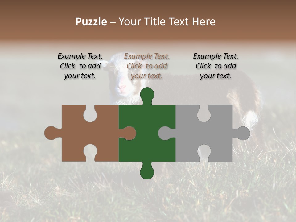 Cute Lamb PowerPoint Template