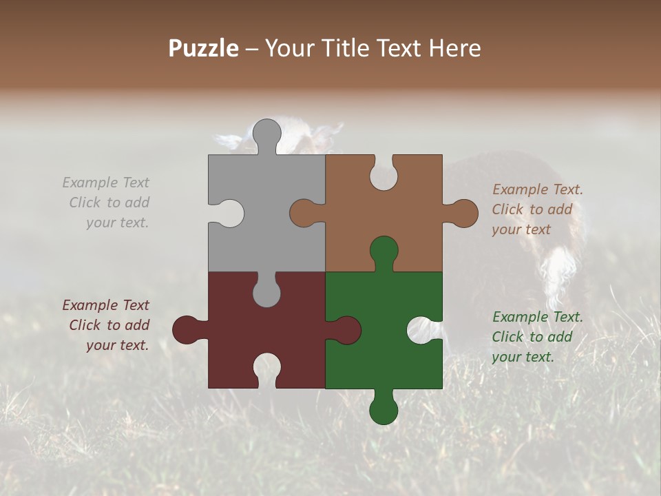 Cute Lamb PowerPoint Template