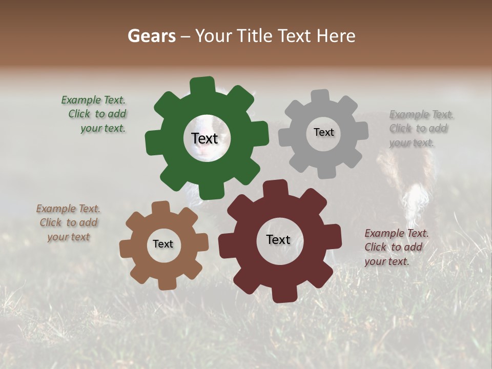 Cute Lamb PowerPoint Template