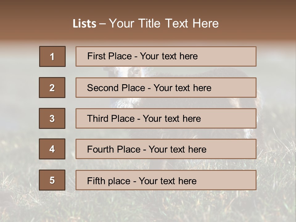 Cute Lamb PowerPoint Template