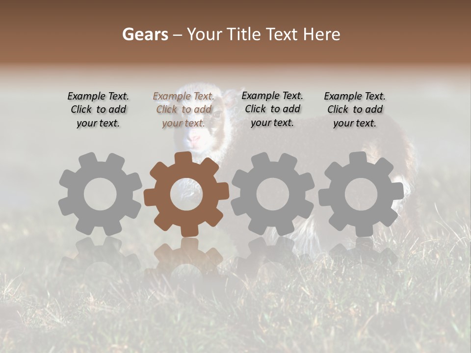 Cute Lamb PowerPoint Template